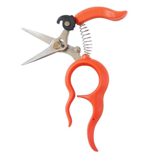 Grape picking shears